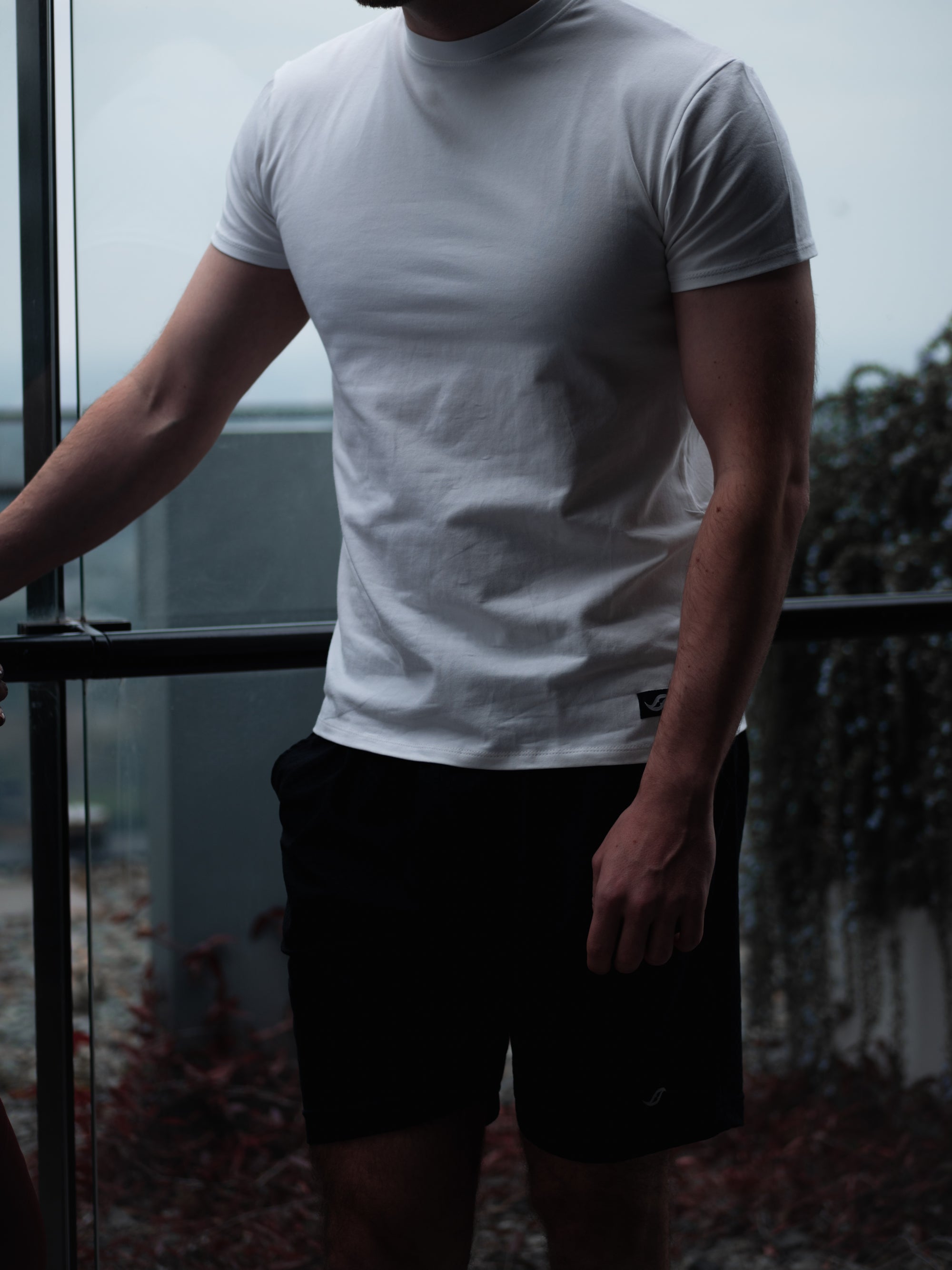 Body Fit Tshirt - White